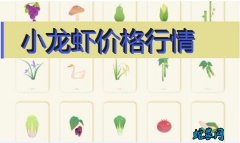2020年8月4日小龙虾价格行情、今...