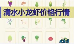 2020年8月4日清水小龙虾价格行情...