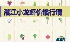 2020年8月4日潜江小龙虾价格行情...