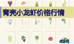 2020年8月4日青壳小龙虾价格行情...