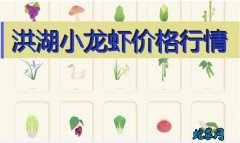 2020年8月4日洪湖小龙虾价格行情...