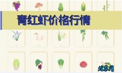 2020年8月4日青红虾价格行情、今...