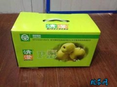 上海：崇明“盒马村”翠冠梨上市、直播...