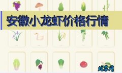 2020年8月6日安徽小龙虾价格行情...