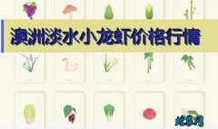2020年8月6日澳洲淡水小龙虾价格...