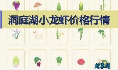 2020年8月6日洞庭湖小龙虾价格行...