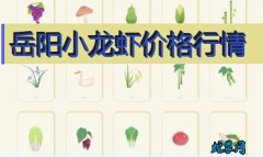2020年8月6日岳阳小龙虾价格行情...
