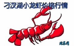 2020年8月7日刁汊湖小龙虾价格行...