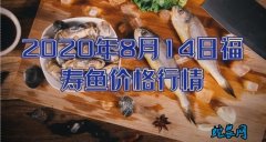 2020年8月14日福寿鱼价格行情、...
