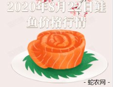 2020年8月22日鲑鱼价格行情、今...