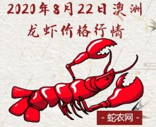 2020年8月22日澳洲龙虾价格行情...