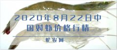 2020年8月22日中国对虾价格行情...