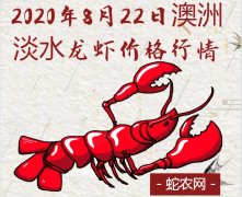 2020年8月22日澳洲淡水龙虾价格...