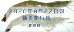2020年8月22日对虾价格行情、今...