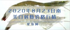 2020年8月23日南美白对虾价格行...