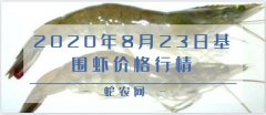 2020年8月23日基围虾价格行情、...