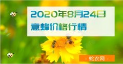 2020年8月24日意蜂价格行情、今...
