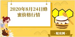 2020年8月24日蜂蜜价格行情、今...