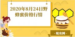 2020年8月24日野蜂蜜价格行情、...