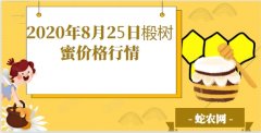 2020年8月25日椴树蜜价格行情、...