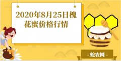 2020年8月25日槐花蜜价格行情、...
