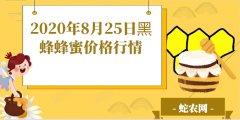 2020年8月25日黑蜂蜂蜜价格行情...