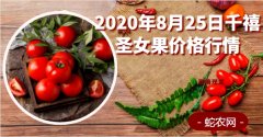 2020年8月25日千禧圣女果价格行...