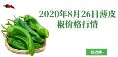 2020年8月26日薄皮椒价格行情、...