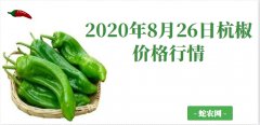 2020年8月26日杭椒价格行情、今...