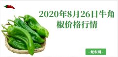 2020年8月26日牛角椒价格行情、...