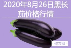 2020年8月26日黑长茄价格行情、...
