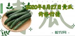 2020年8月27日黄瓜价格行情、今...