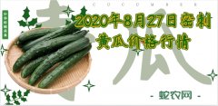 2020年8月27日密刺黄瓜价格行情...