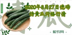 2020年8月27日德瑞特黄瓜价格行...