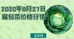 2020年8月27日扁包菜价格行情、...
