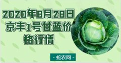 2020年8月28日京丰1号甘蓝价格...