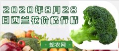 2020年8月28日西兰花价格行情、...
