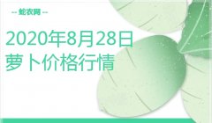 2020年8月28日萝卜价格行情、今...