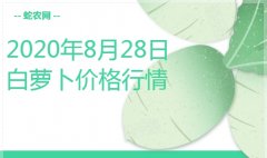 2020年8月28日白萝卜价格行情、...