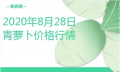 2020年8月28日青萝卜价格行情、...