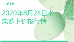 2020年8月28日水果萝卜价格行情...