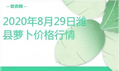 2020年8月29日潍县萝卜价格行情...