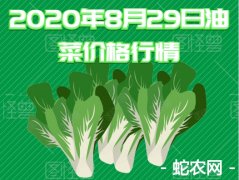 2020年8月29日油菜价格行情、今...