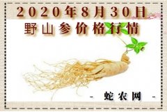 2020年8月30日野山参价格行情、...