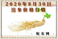 2020年8月30日园参价格行情、今...