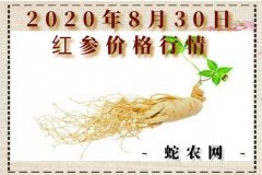 2020年8月30日红参价格行情、今...