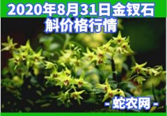 2020年8月31日金钗石斛价格行情...
