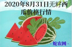 2020年8月31日无籽西瓜价格行情...