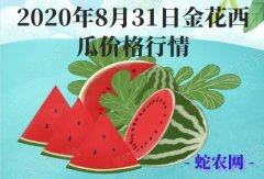 2020年8月31日金花西瓜价格行情...