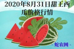 2020年8月31日甜王西瓜价格行情...
